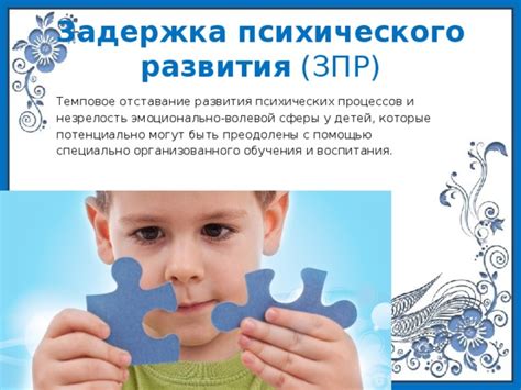 Особенности совместного обучения ЗПР и РАС