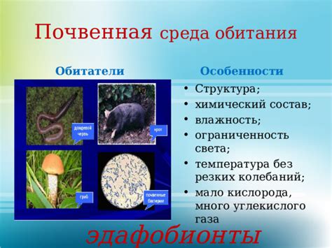 Особенности среды обитания