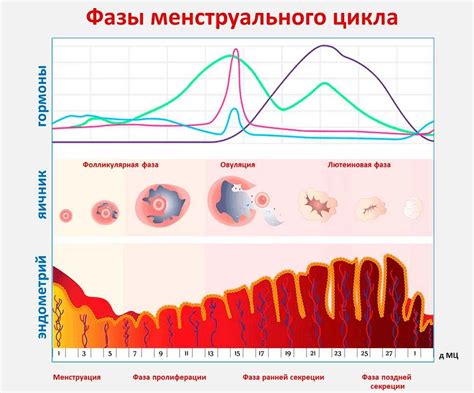Особенности стрижки во время беременности