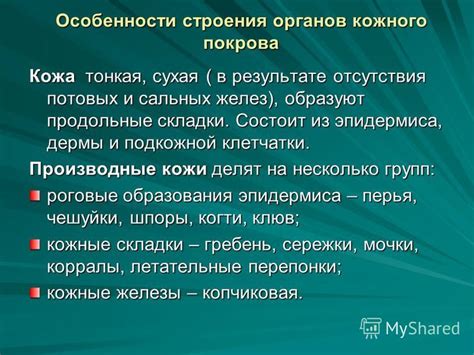 Особенности строения и функции сальных потовых желез у птиц