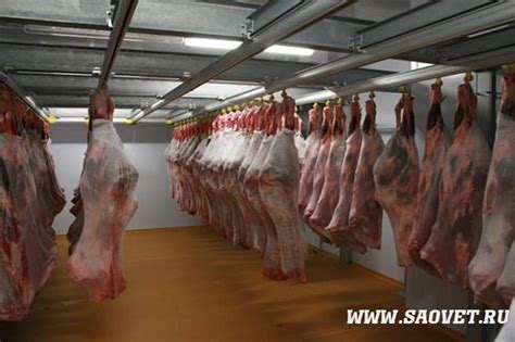 Особенности хранения мяса по мусульманским правилам