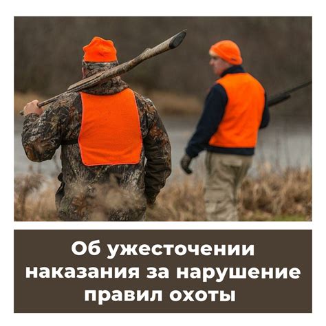 Ответственность и наказания за нарушение правил охоты ночью