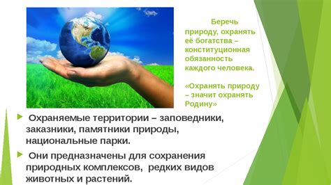 Ответственность перед природой: как не нарушить баланс