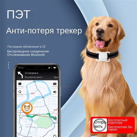 Отслеживание животных с помощью чипа
