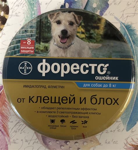Ошейник от блох: применимость при кормлении собаки