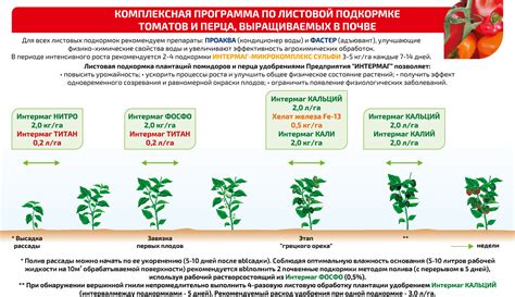 Периоды и техники ухода за привитым каштановым деревом