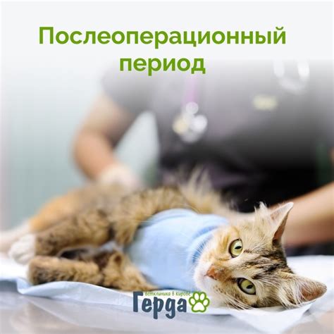 Период восстановления организма