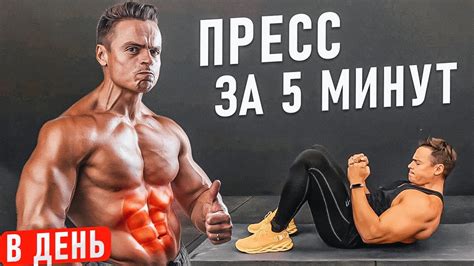 Питание для накачки пресса: