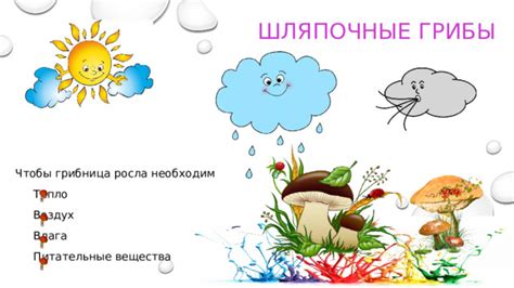 Питательные вещества и влага