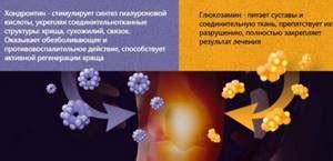 Побочные эффекты и ограничения использования левомекола