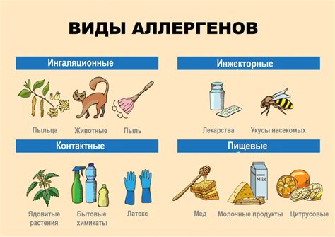Повышение пыли и бытовых аллергенов в воздухе