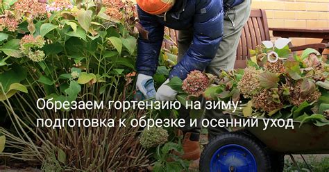 Подготовка к осенней обрезке
