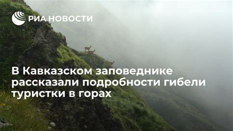 Подробности о состоянии туристки и текущих следственных действиях