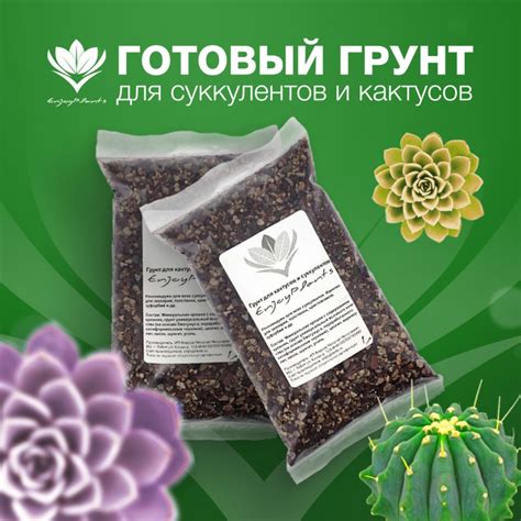 Подходящий грунт для драцены и кактусов