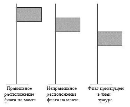 Позиция общества по использованию флага