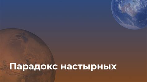 Полезная информация о метрике щенку