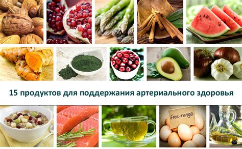 Полезные свойства лесных опят для сердца и сосудов