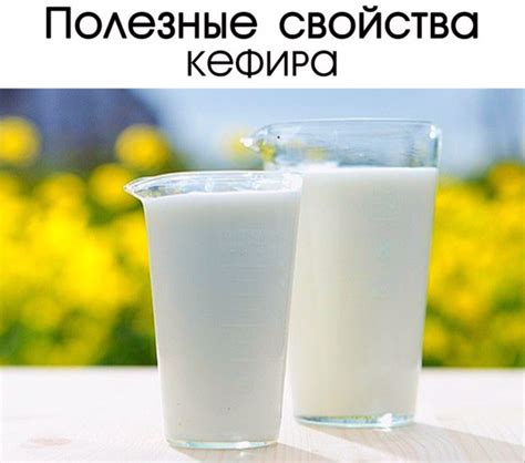 Полезные свойства протеинового кефира: