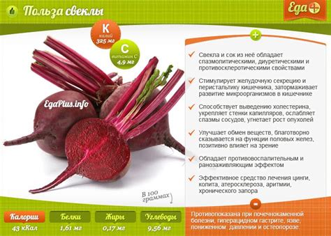 Полезные свойства свеклы и картофеля
