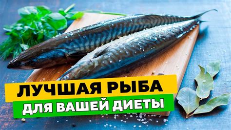 Полезные свойства скумбрии для диетического питания