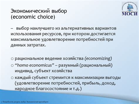 Политические аспекты и экономический выбор