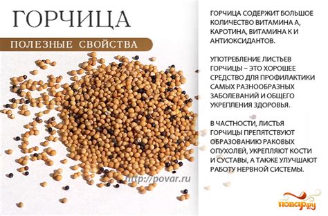 Польза горчицы для земли и урожая картофеля