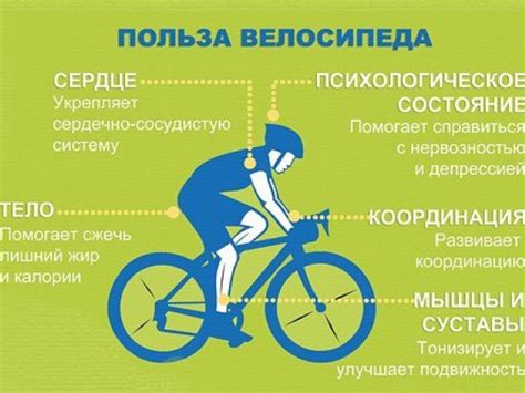Польза езды на велосипеде для ног и способы сжигания жира