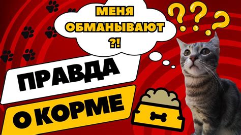 Польза и вред кошачьего корма для уток
