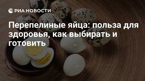 Польза яйца в борще для организма
