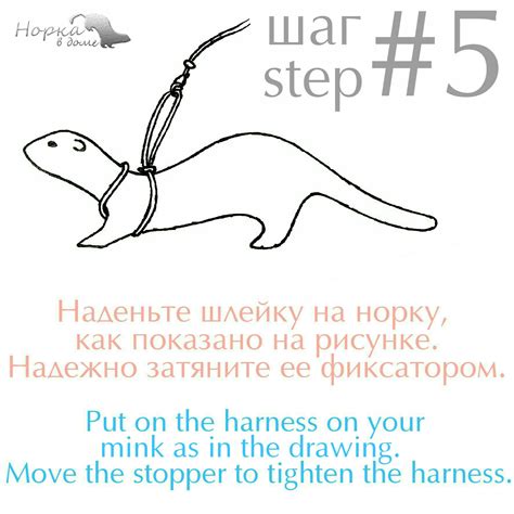 Помещение для норки: