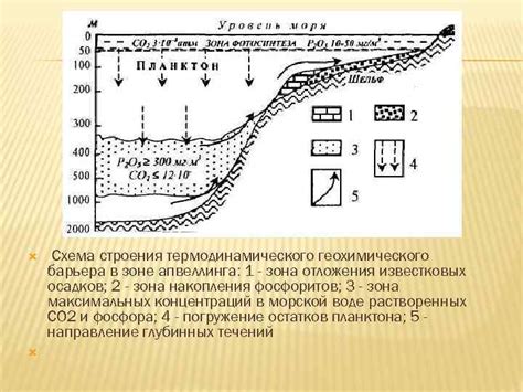 Понятие известковых осадков