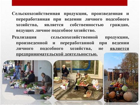 Понятие и значение участка личного подсобного хозяйства