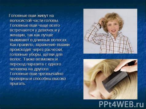Понятие о вшах и их особенности