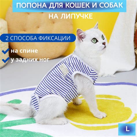 Попона после стерилизации