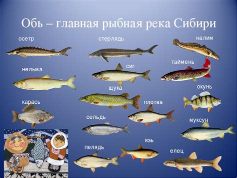 Популярная рыба Новомарьевского лимана