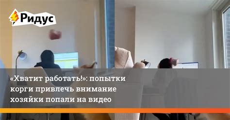 Попытки привлечь внимание