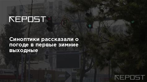Последние новости о погоде