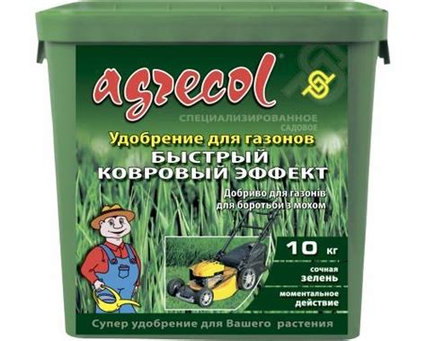 Последствия неправильной подкормки газона осенью
