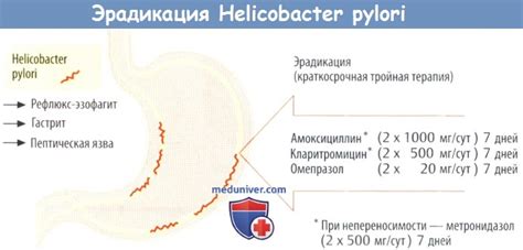 Последствия различных уровней кислотности для пищеварения