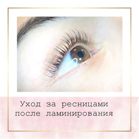 После ламинирования ресниц: читаем отзывы, изучаем эффект и рассматриваем результаты процедуры