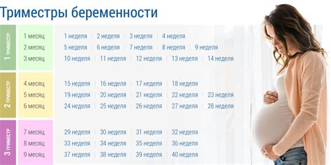 Потенциальные риски кастрации в 10 месяцев