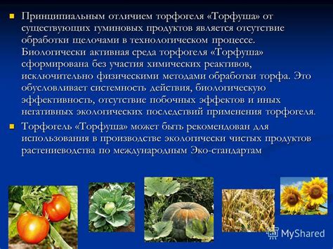 Почва - биологически активная среда