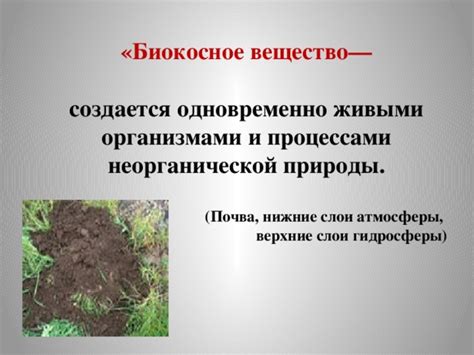 Почва - единственное оживленное неживое вещество