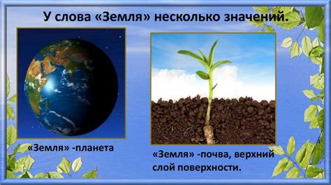 Почва - основа экосистем и биоразнообразия
