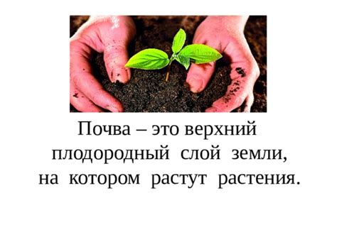 Почва - хранитель здоровья растений и людей