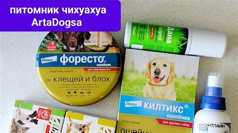 Почему обработка собаки пылью от блох - эффективное решение
