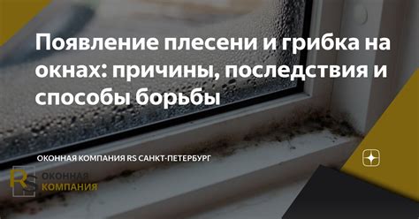 Появление грибка и плесени