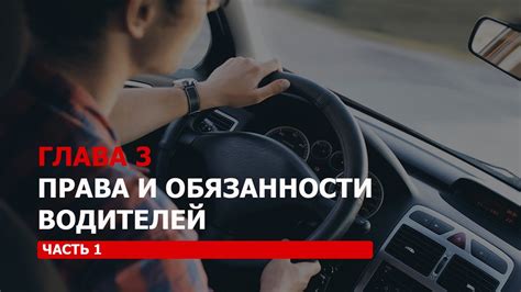 Права и обязанности водителей
