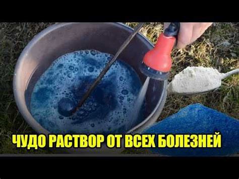 Правила использования бордосской жидкости