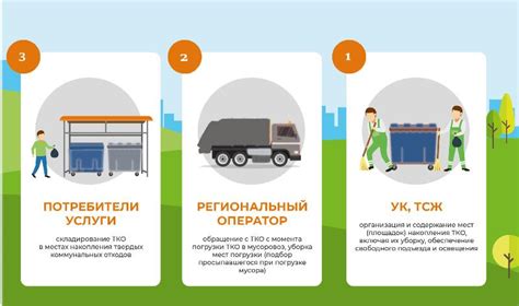 Правила и ограничения при вывозе пуэра